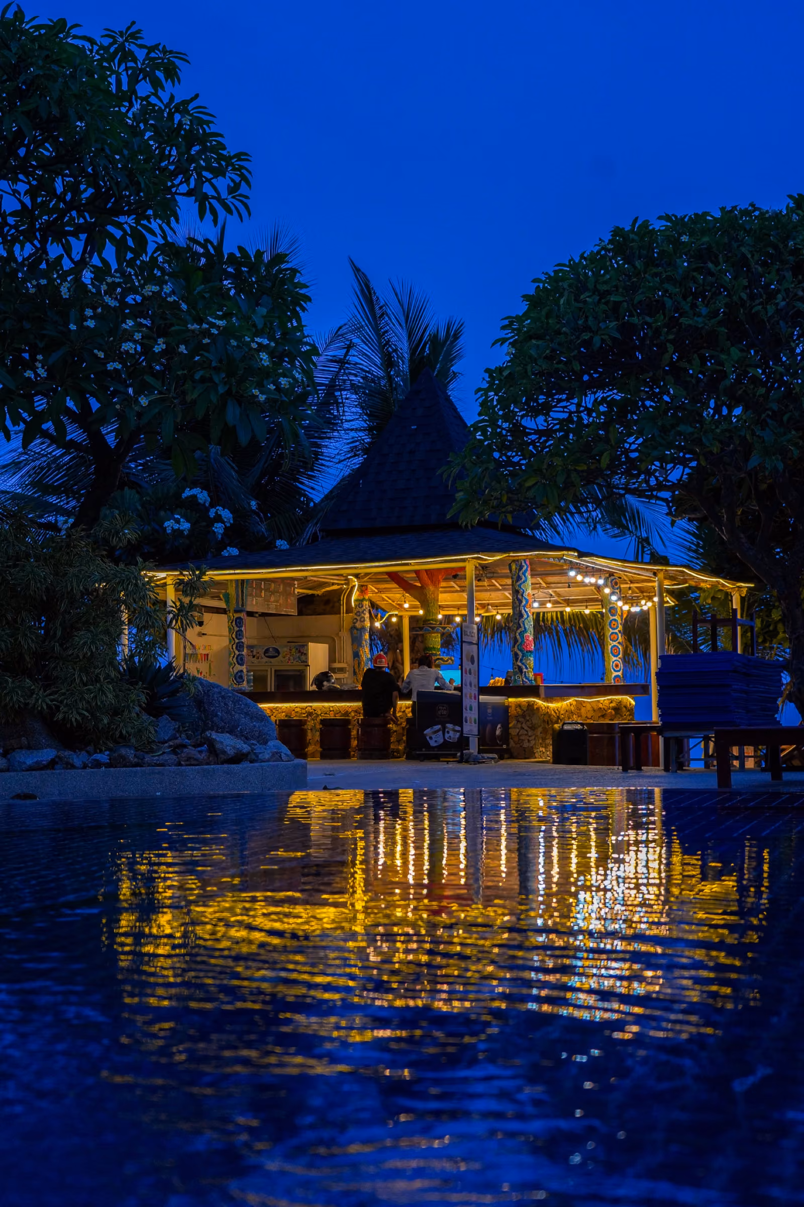 Beachfront Bar — Beachfront Bar 5