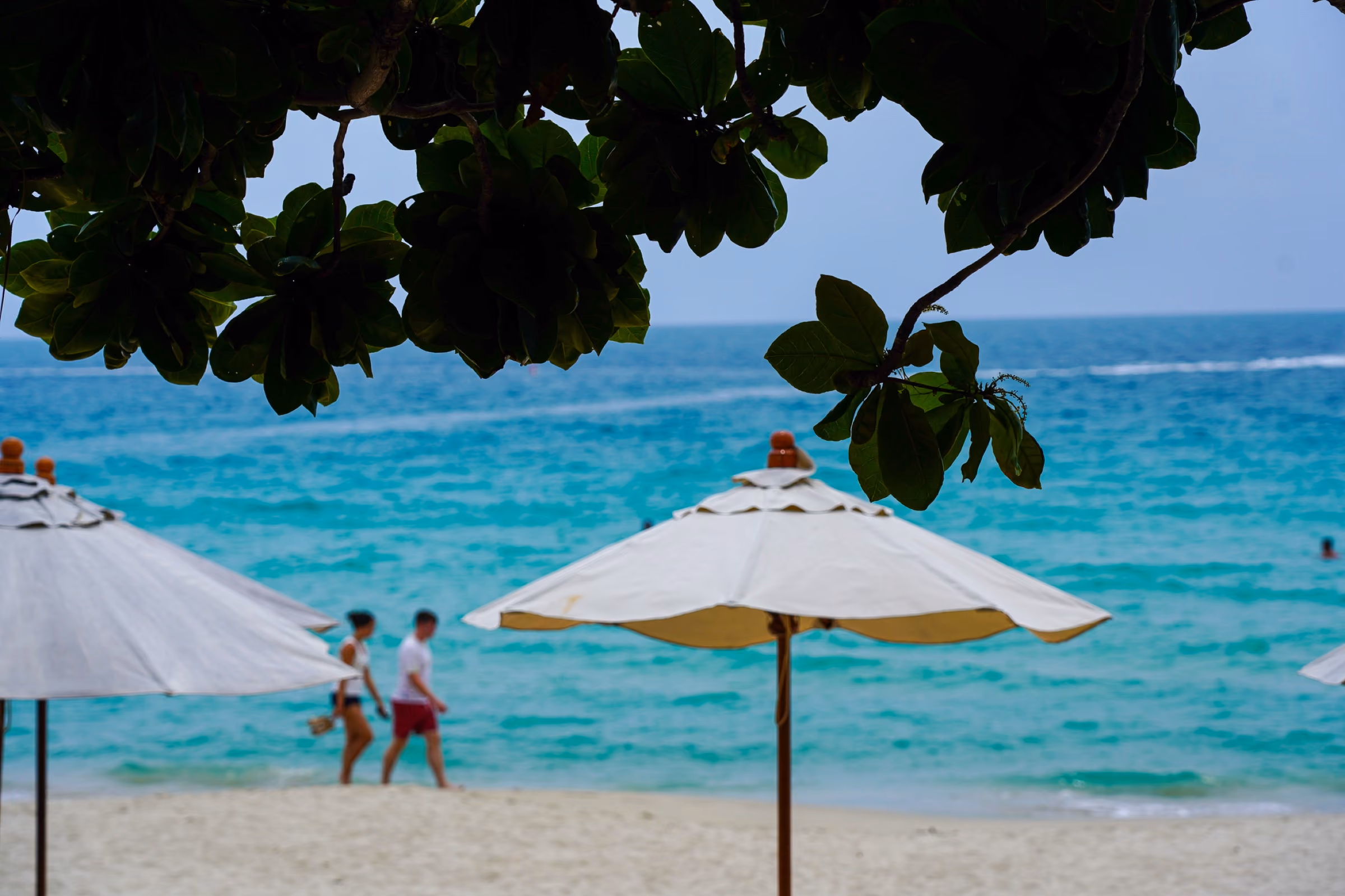 The Beach — 8